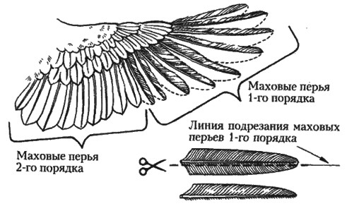 подрезка