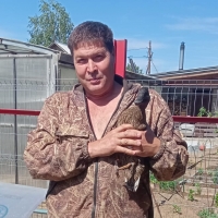Поздняков Михаил Викторович